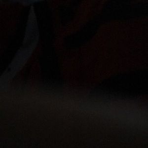 Meet your Posher, Derek